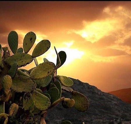 Prickly Pear House Hotel Plaka  Buitenkant foto
