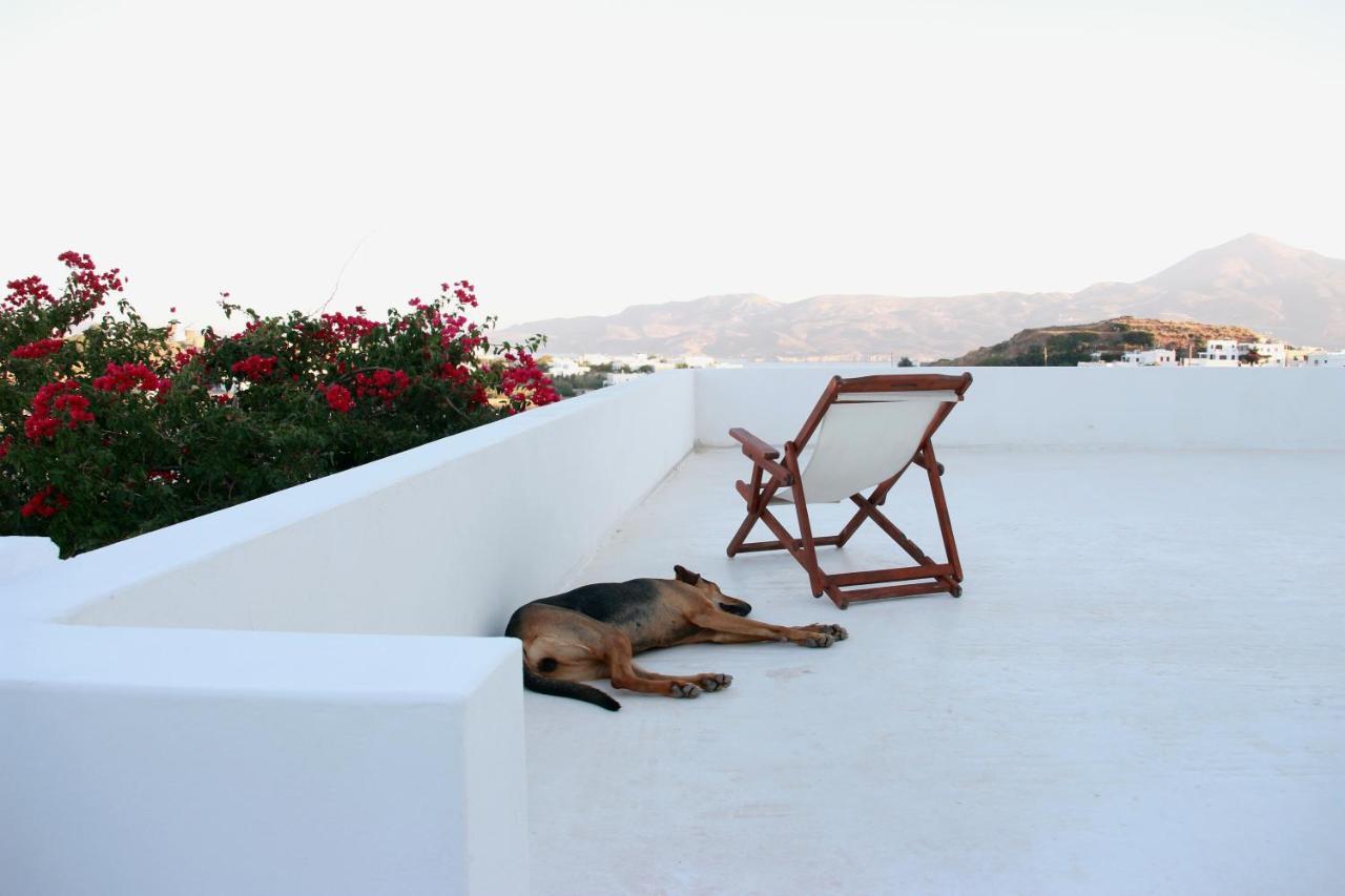 Prickly Pear House Hotel Plaka  Buitenkant foto