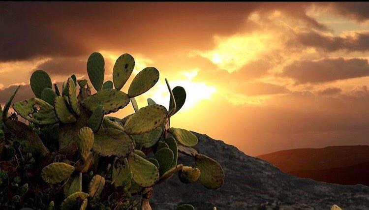 Prickly Pear House Hotel Plaka  Buitenkant foto